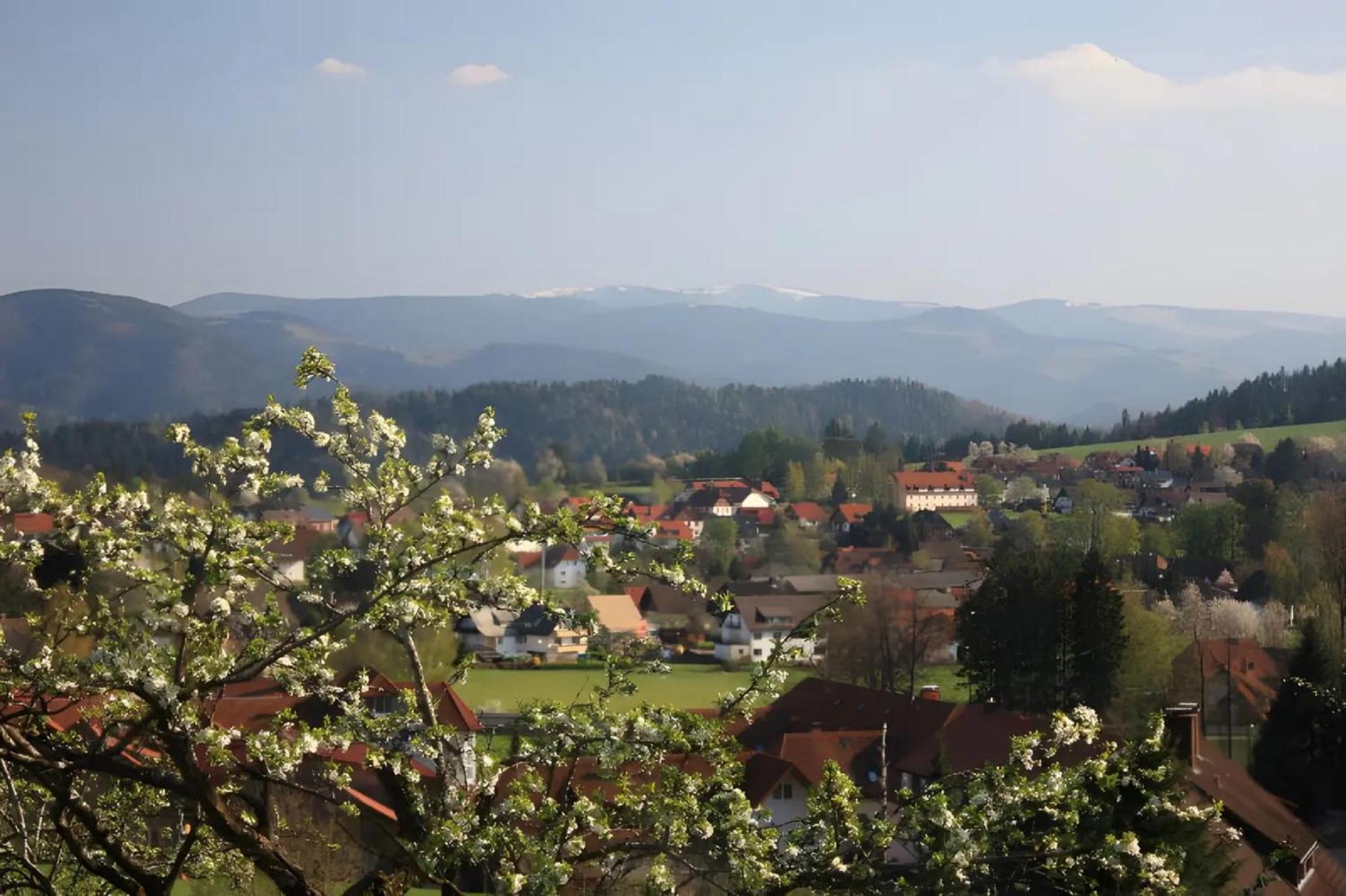 Ferien Auf Dem Steingrubenhof Lejlighed Sankt Peter Eksteriør billede