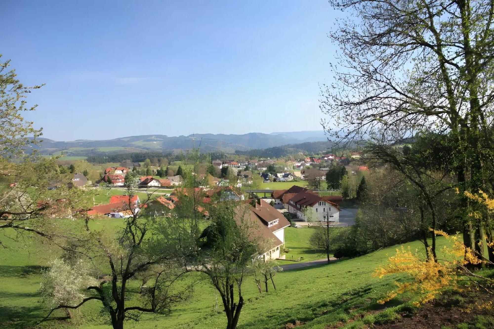 Ferien Auf Dem Steingrubenhof Lejlighed Sankt Peter Eksteriør billede